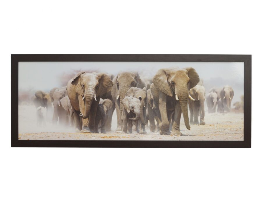 obraz-wedrujace-slonie-w-ozdobnej-ramie